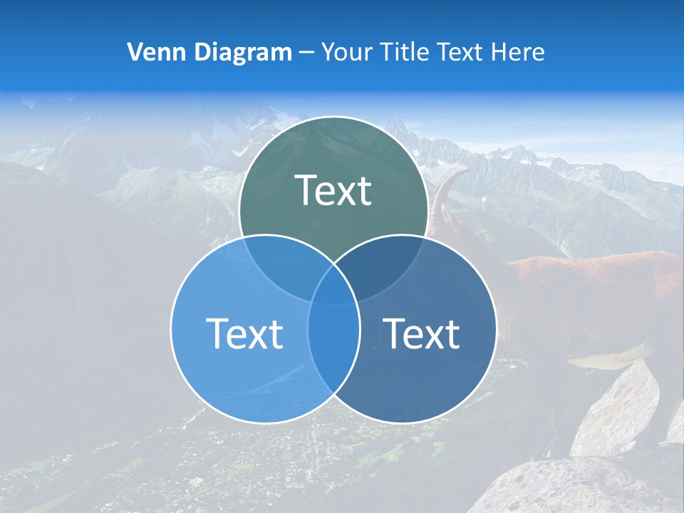 Wild Animal Caprin Bovidae PowerPoint Template