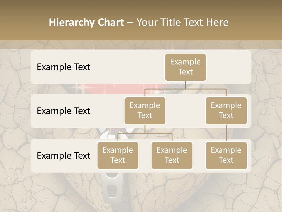Transformation Aged Married PowerPoint Template