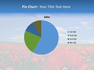 Countryside Grass Crops PowerPoint Template