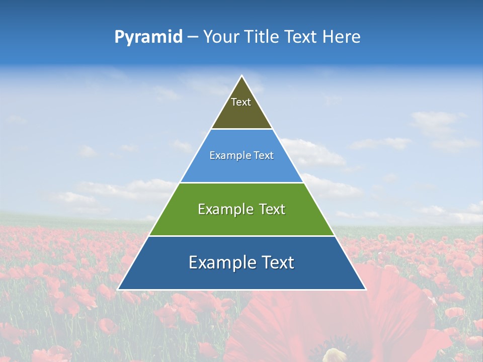 Countryside Grass Crops PowerPoint Template