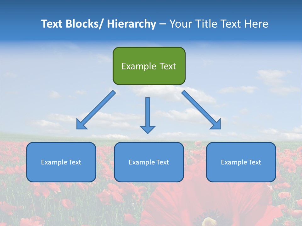 Countryside Grass Crops PowerPoint Template