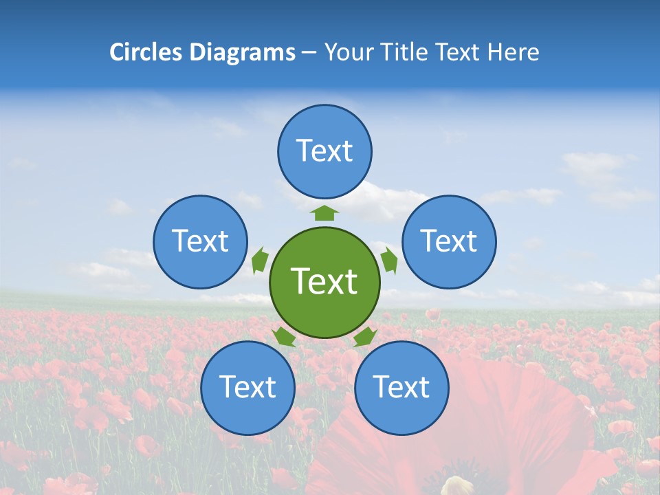 Countryside Grass Crops PowerPoint Template