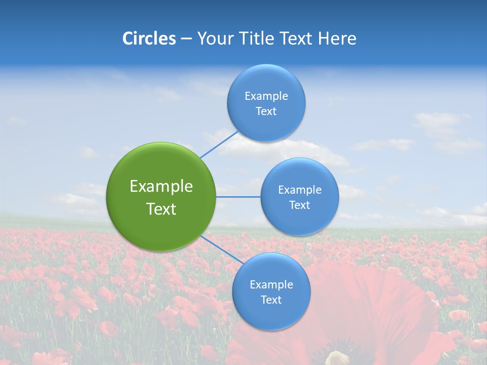 Countryside Grass Crops PowerPoint Template