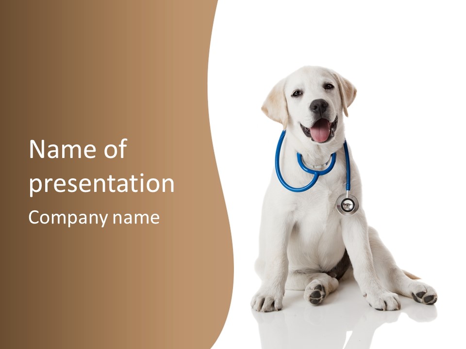 Looking Rescue Isolated PowerPoint Template