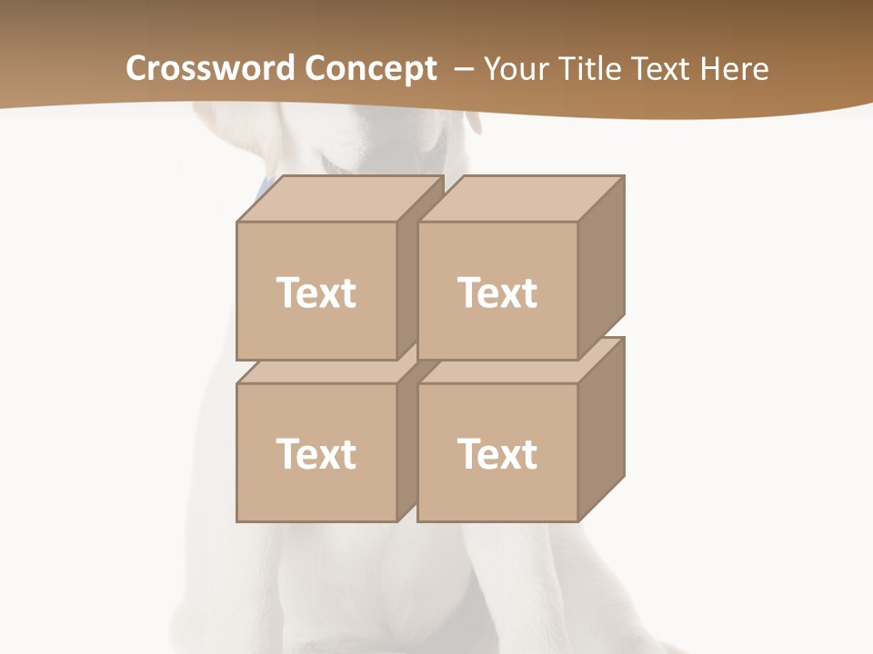 Looking Rescue Isolated PowerPoint Template