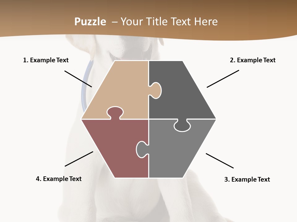 Looking Rescue Isolated PowerPoint Template