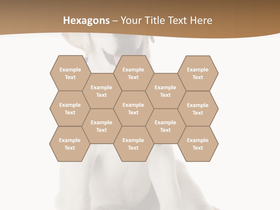 Looking Rescue Isolated PowerPoint Template