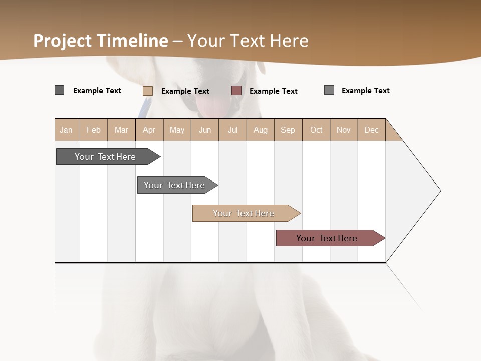 Looking Rescue Isolated PowerPoint Template