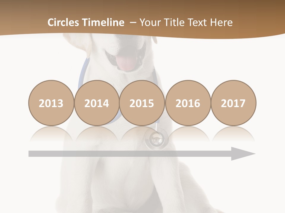 Looking Rescue Isolated PowerPoint Template