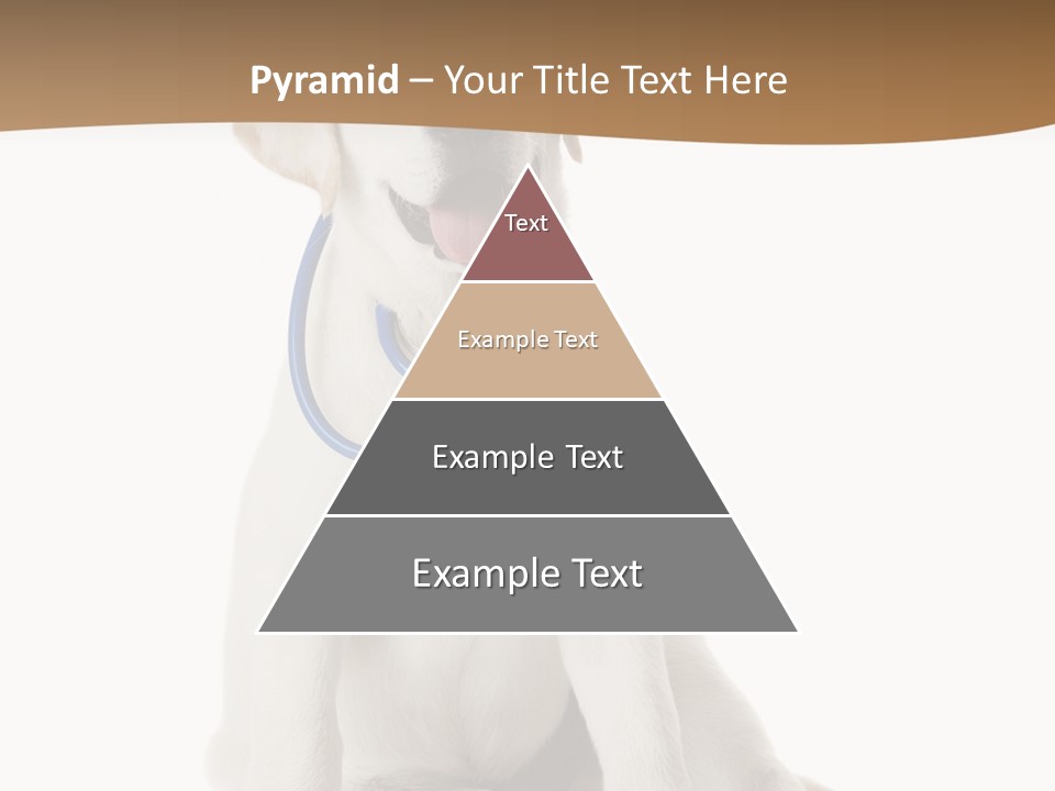 Looking Rescue Isolated PowerPoint Template