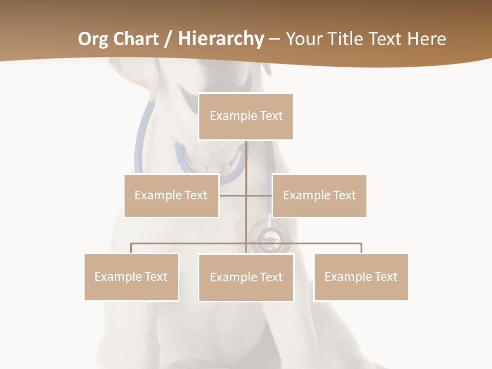 Looking Rescue Isolated PowerPoint Template