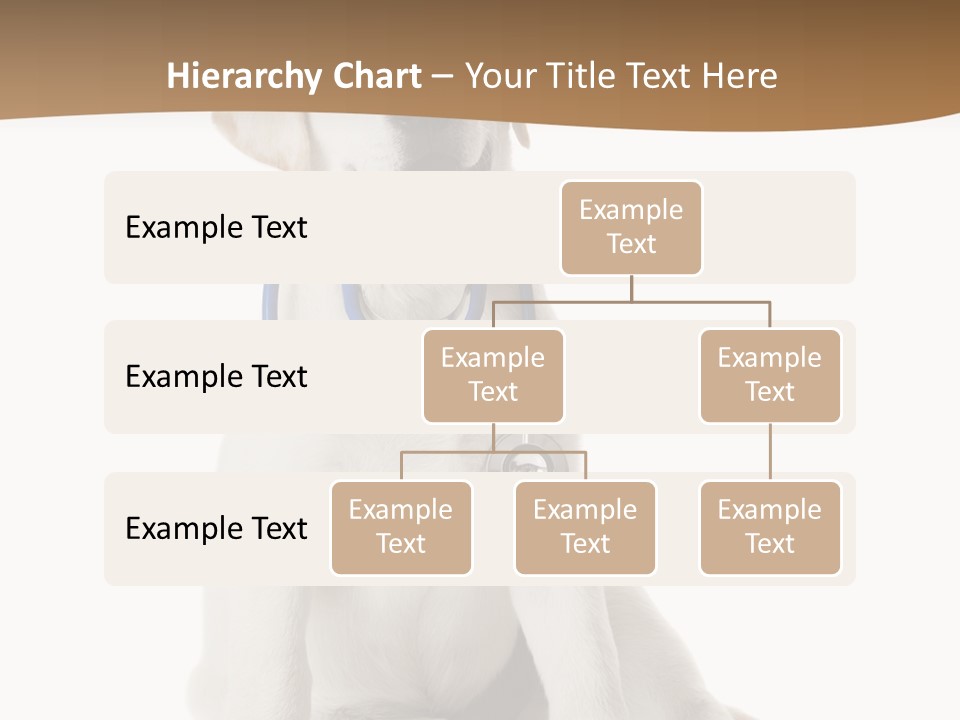 Looking Rescue Isolated PowerPoint Template