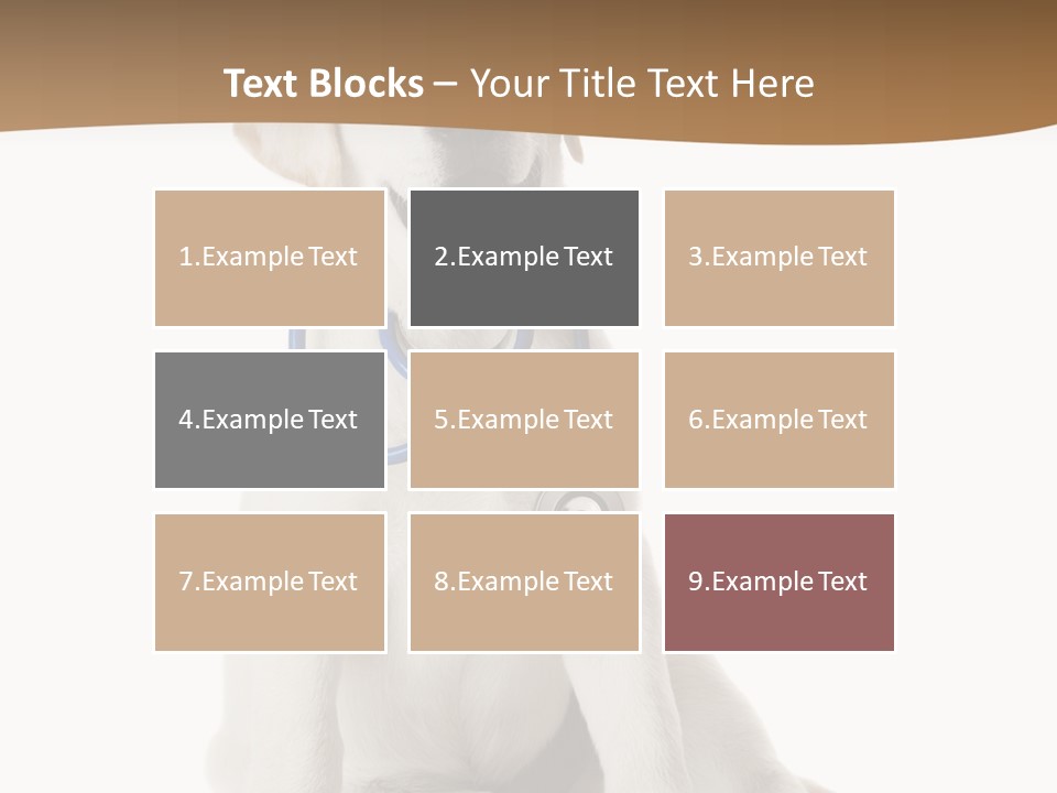 Looking Rescue Isolated PowerPoint Template