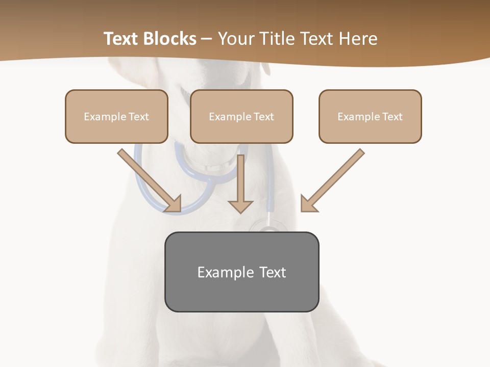 Looking Rescue Isolated PowerPoint Template