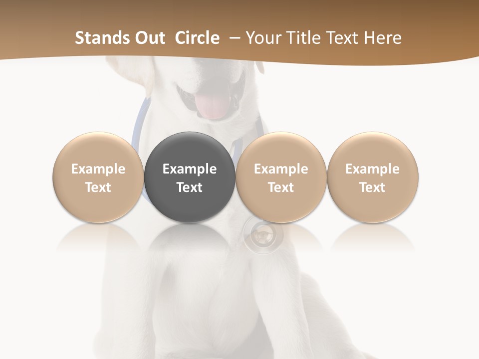 Looking Rescue Isolated PowerPoint Template