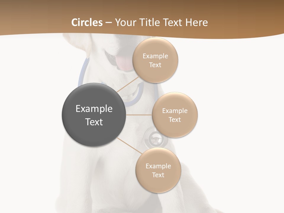 Looking Rescue Isolated PowerPoint Template