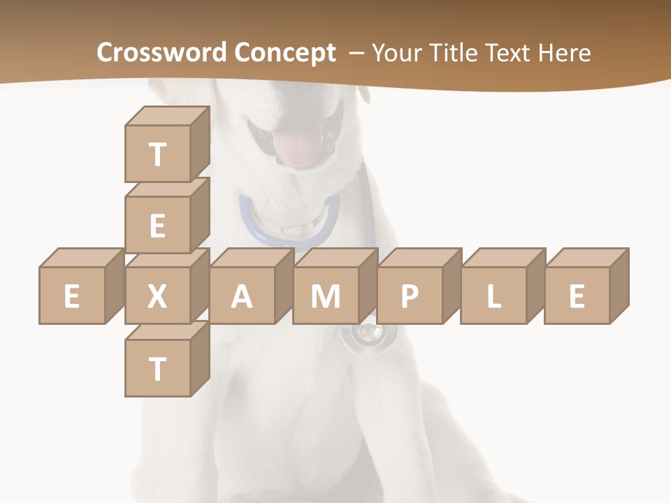 Looking Rescue Isolated PowerPoint Template