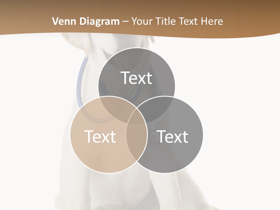 Looking Rescue Isolated PowerPoint Template