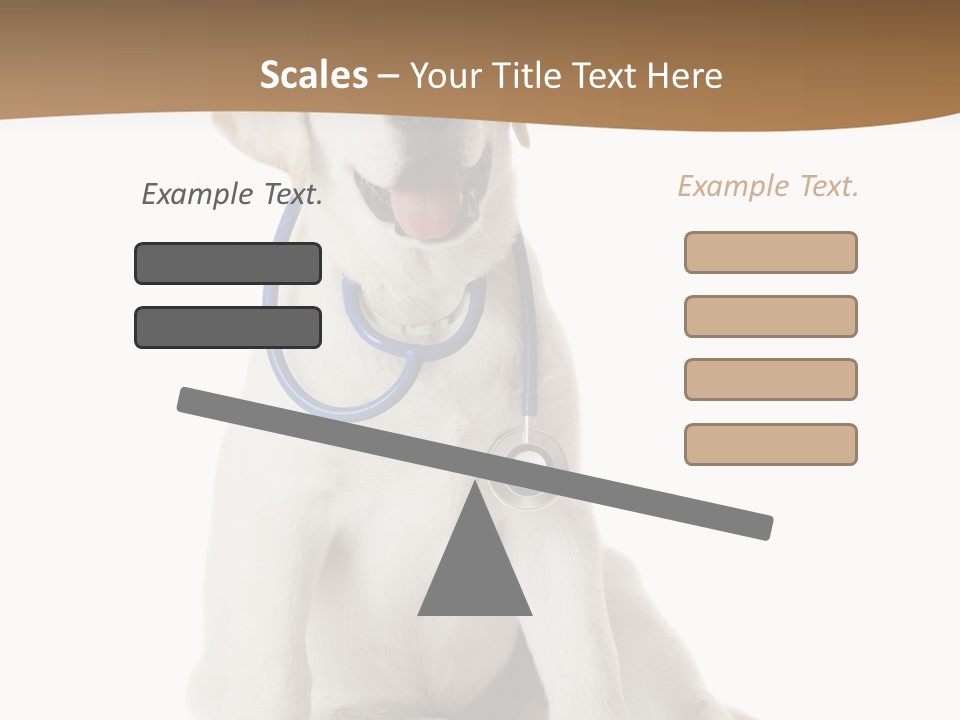 Looking Rescue Isolated PowerPoint Template