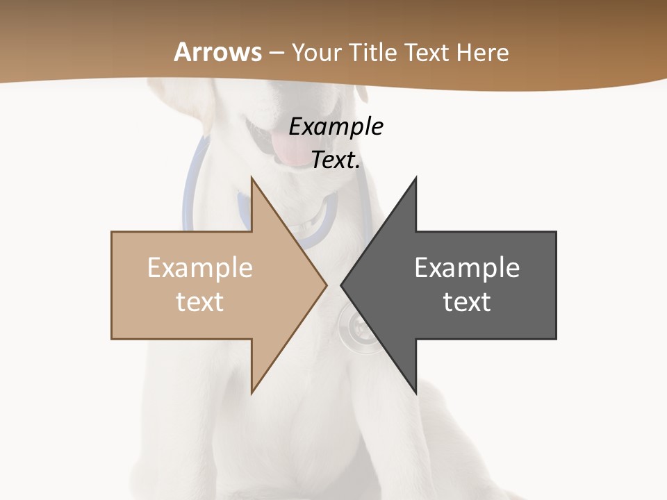 Looking Rescue Isolated PowerPoint Template
