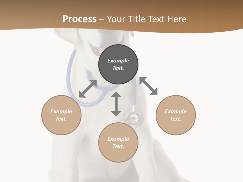 Looking Rescue Isolated PowerPoint Template