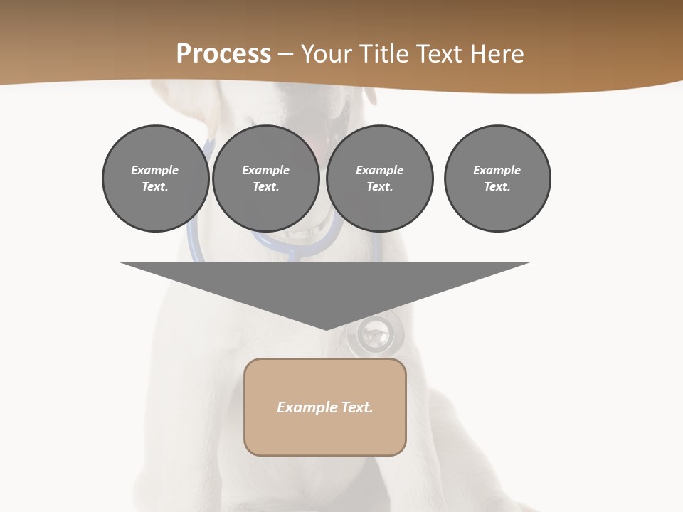 Looking Rescue Isolated PowerPoint Template