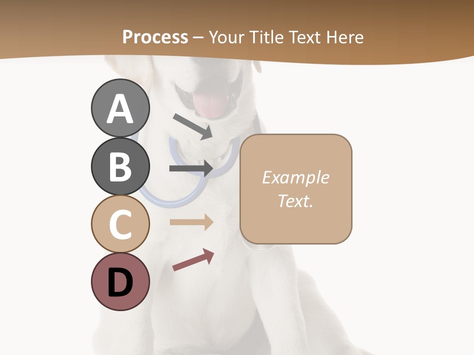 Looking Rescue Isolated PowerPoint Template