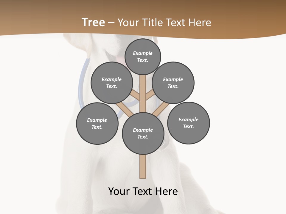 Looking Rescue Isolated PowerPoint Template