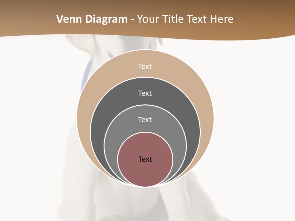 Looking Rescue Isolated PowerPoint Template