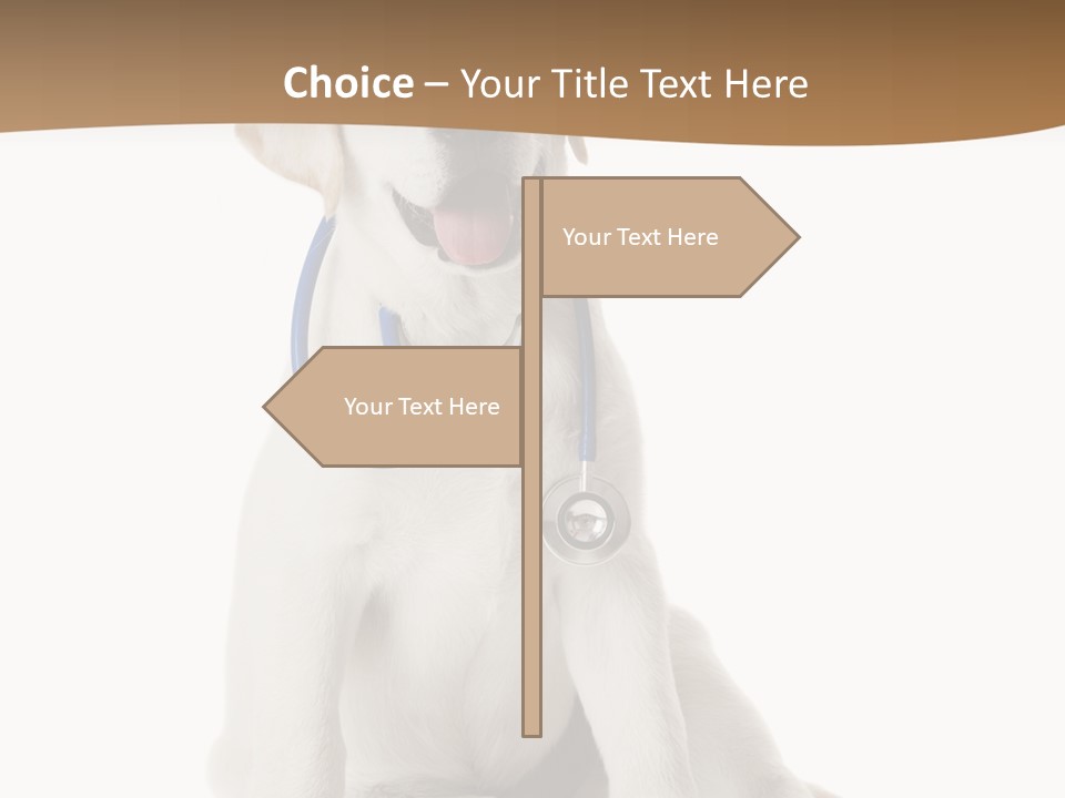 Looking Rescue Isolated PowerPoint Template
