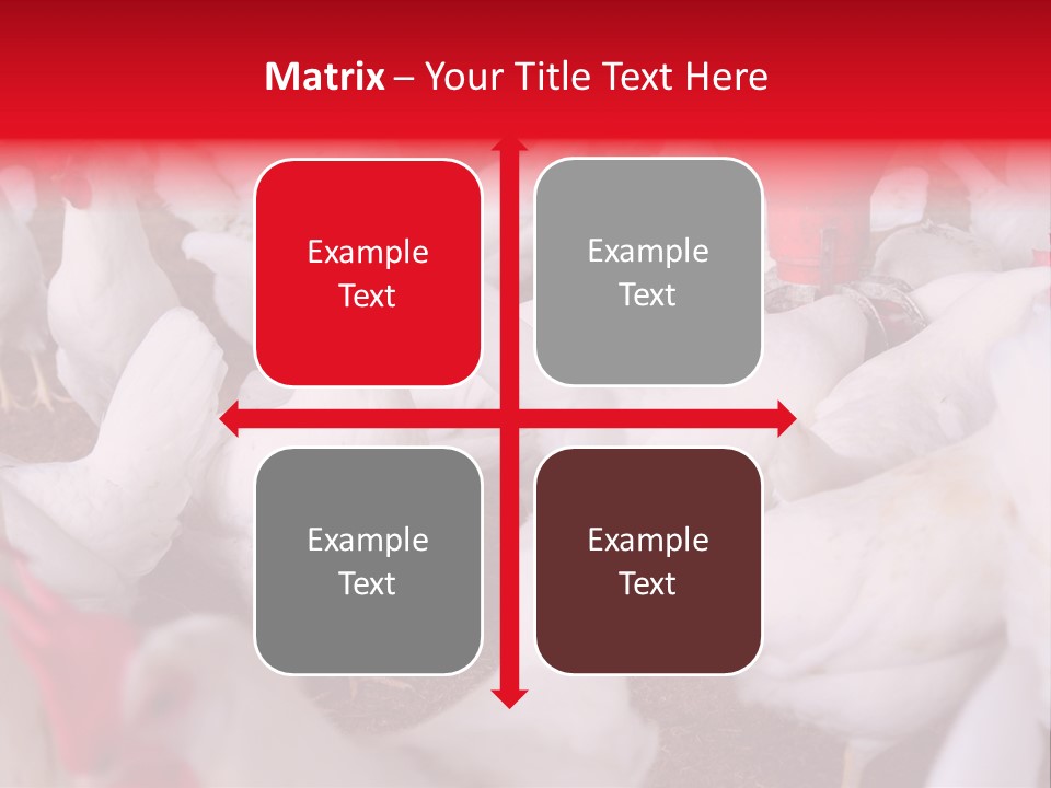 Agriculture Rural Country PowerPoint Template