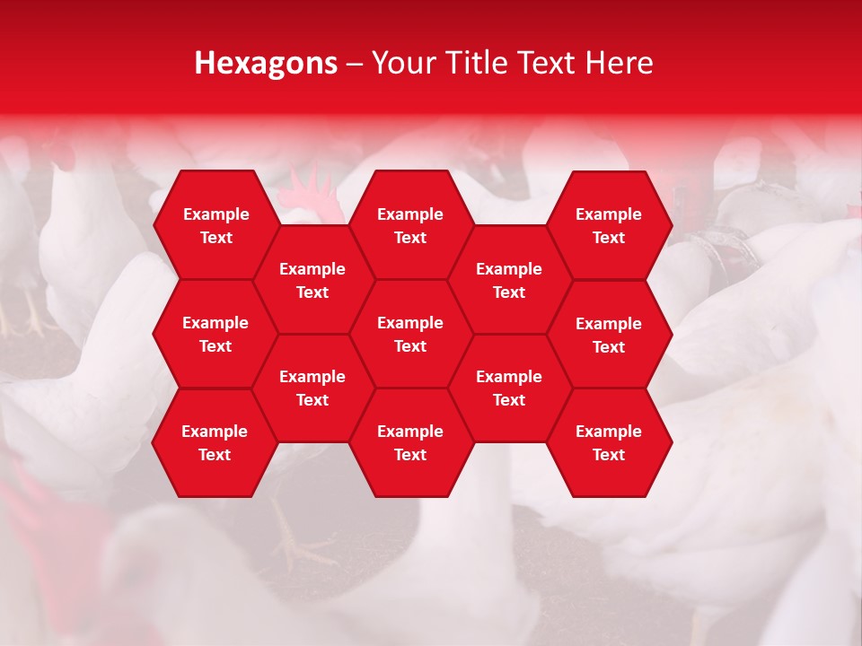 Agriculture Rural Country PowerPoint Template