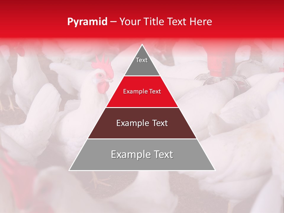 Agriculture Rural Country PowerPoint Template
