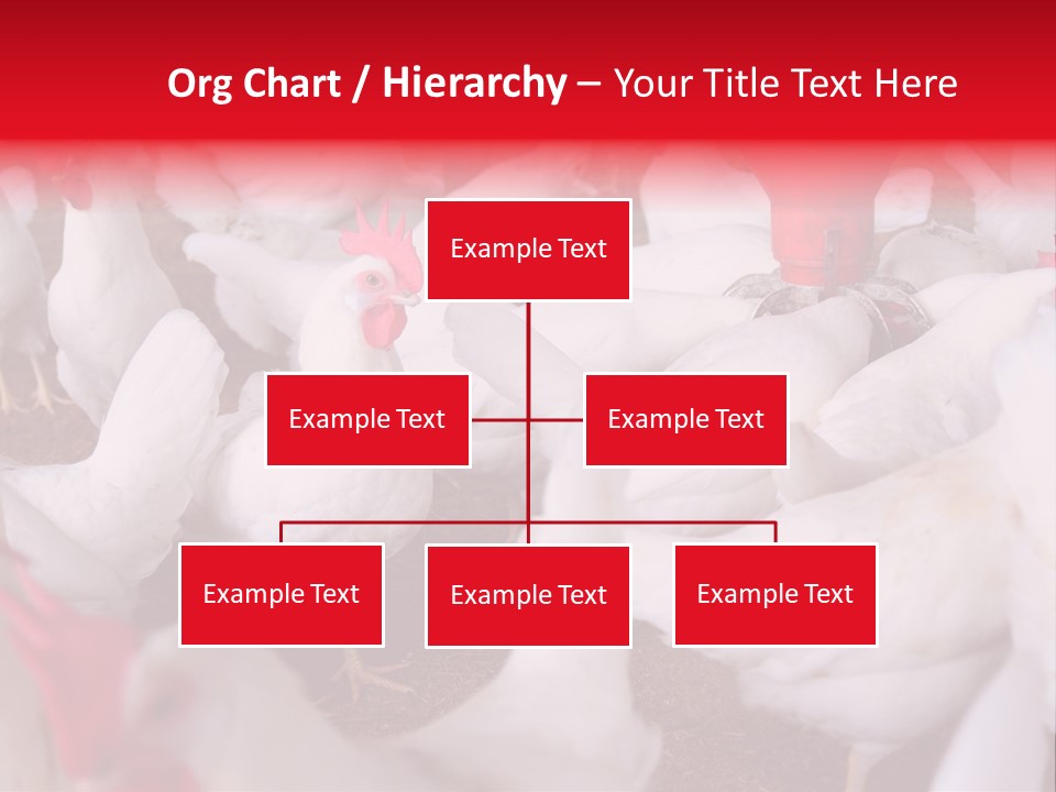 Agriculture Rural Country PowerPoint Template