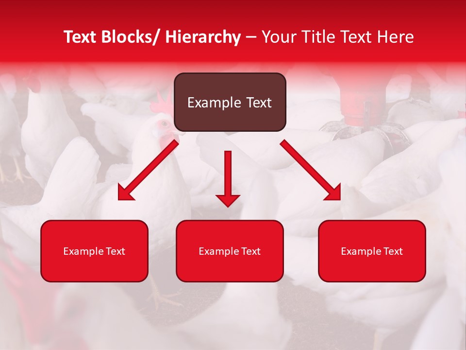 Agriculture Rural Country PowerPoint Template