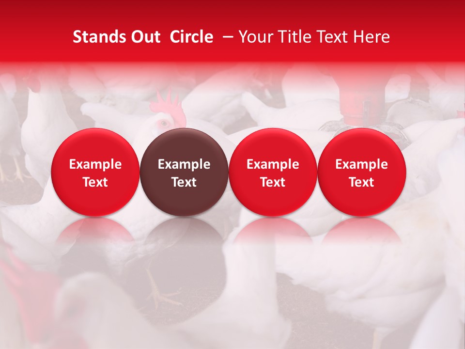 Agriculture Rural Country PowerPoint Template