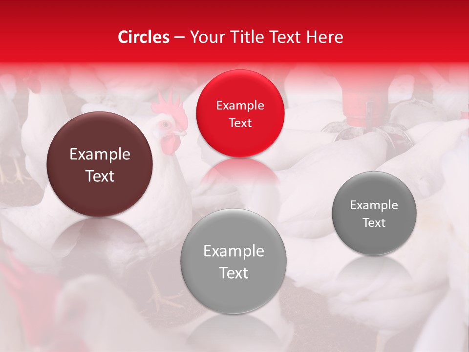 Agriculture Rural Country PowerPoint Template