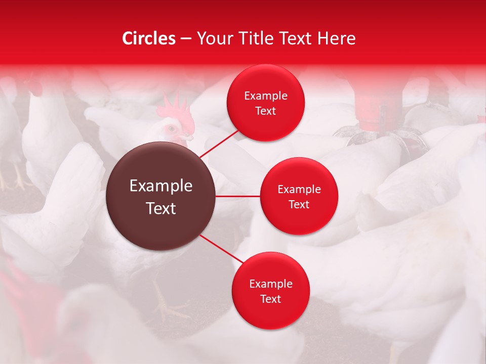 Agriculture Rural Country PowerPoint Template