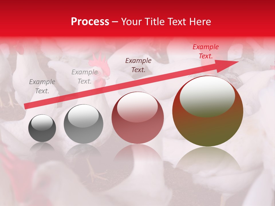 Agriculture Rural Country PowerPoint Template