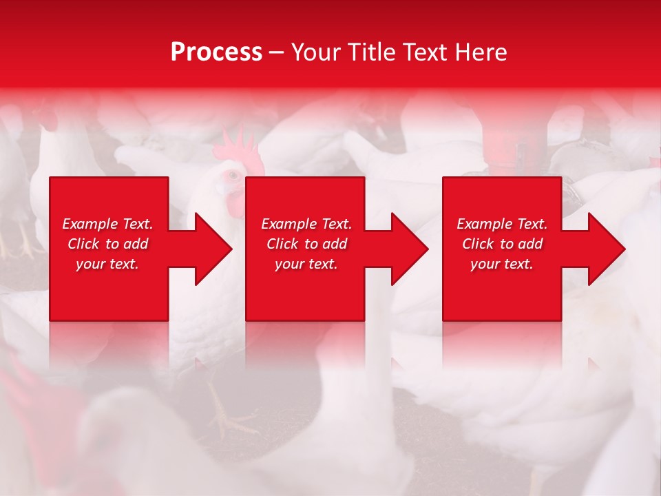 Agriculture Rural Country PowerPoint Template