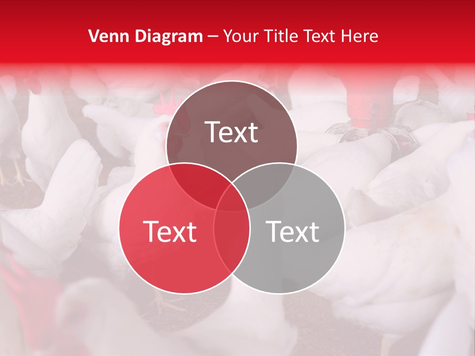 Agriculture Rural Country PowerPoint Template