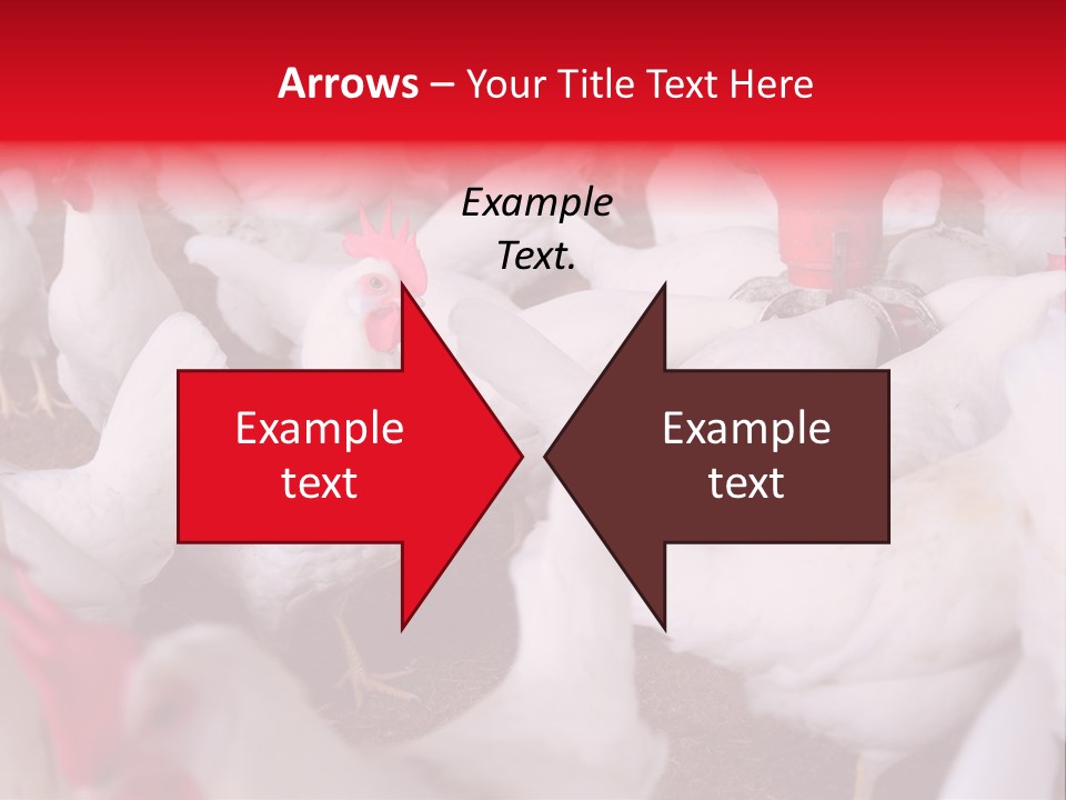 Agriculture Rural Country PowerPoint Template