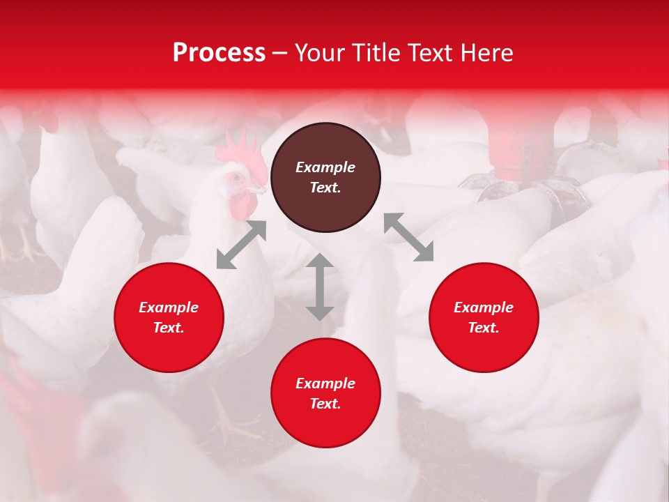 Agriculture Rural Country PowerPoint Template