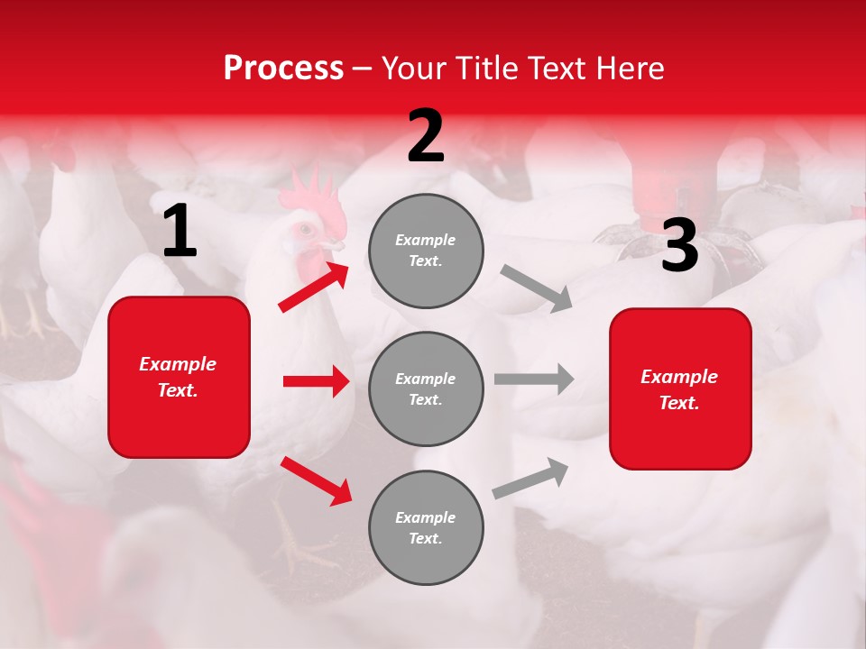 Agriculture Rural Country PowerPoint Template