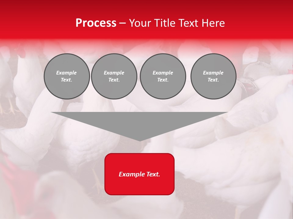 Agriculture Rural Country PowerPoint Template