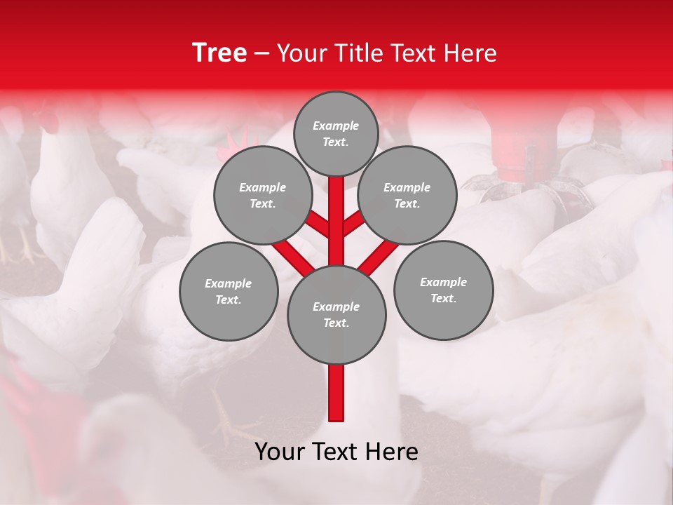 Agriculture Rural Country PowerPoint Template