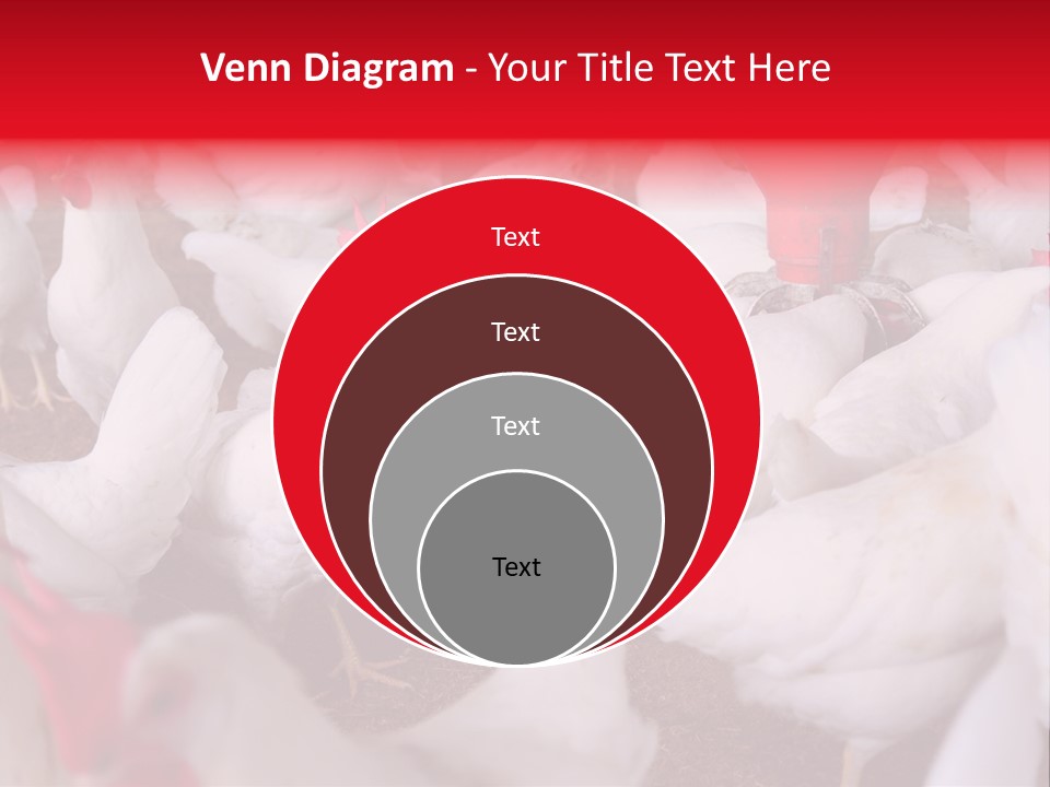 Agriculture Rural Country PowerPoint Template