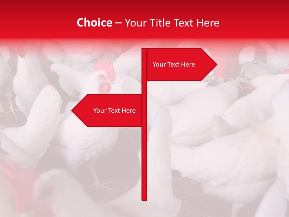 Agriculture Rural Country PowerPoint Template