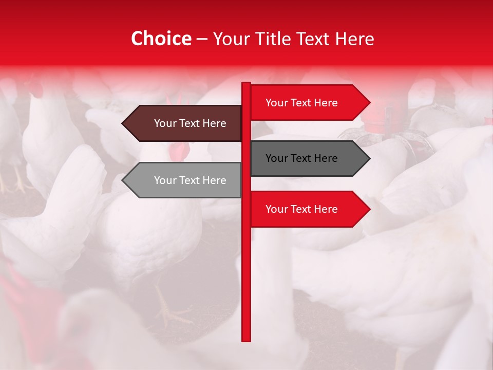 Agriculture Rural Country PowerPoint Template