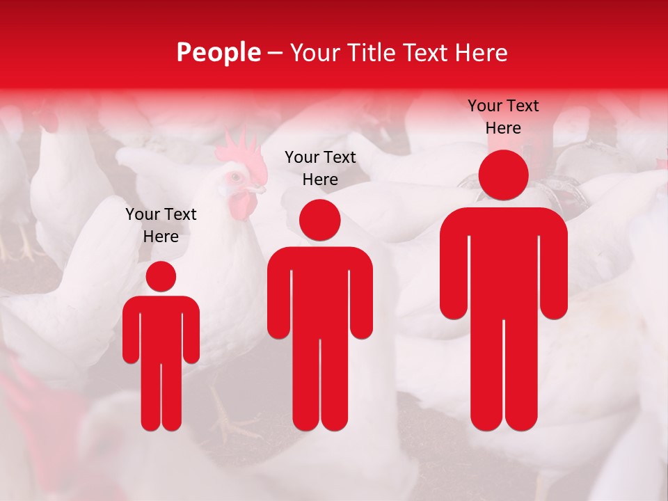 Agriculture Rural Country PowerPoint Template